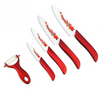 Kitchen Knives with Red Flower Covers